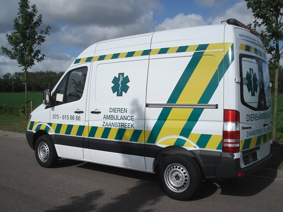 bdierenambulance 1.jpg